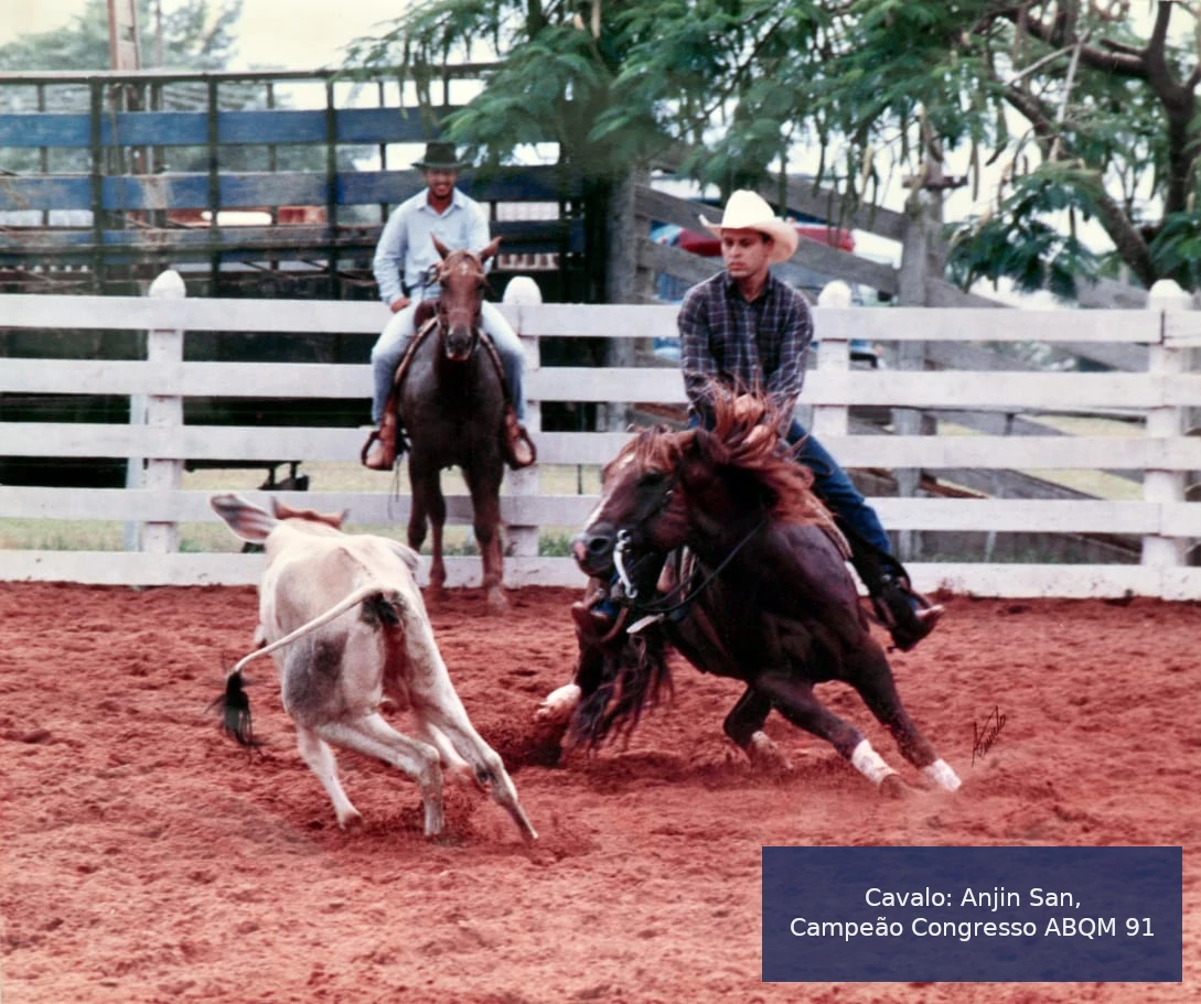 Cavalo: Anjin San, Campeão Congresso ABQM 91